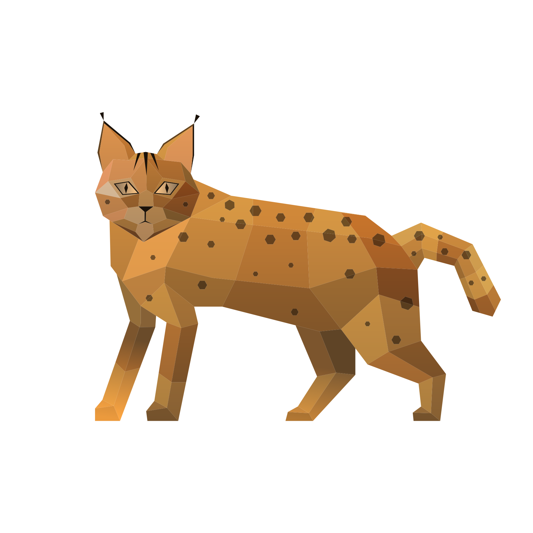 Flora y Fauna IMG-01 Lince