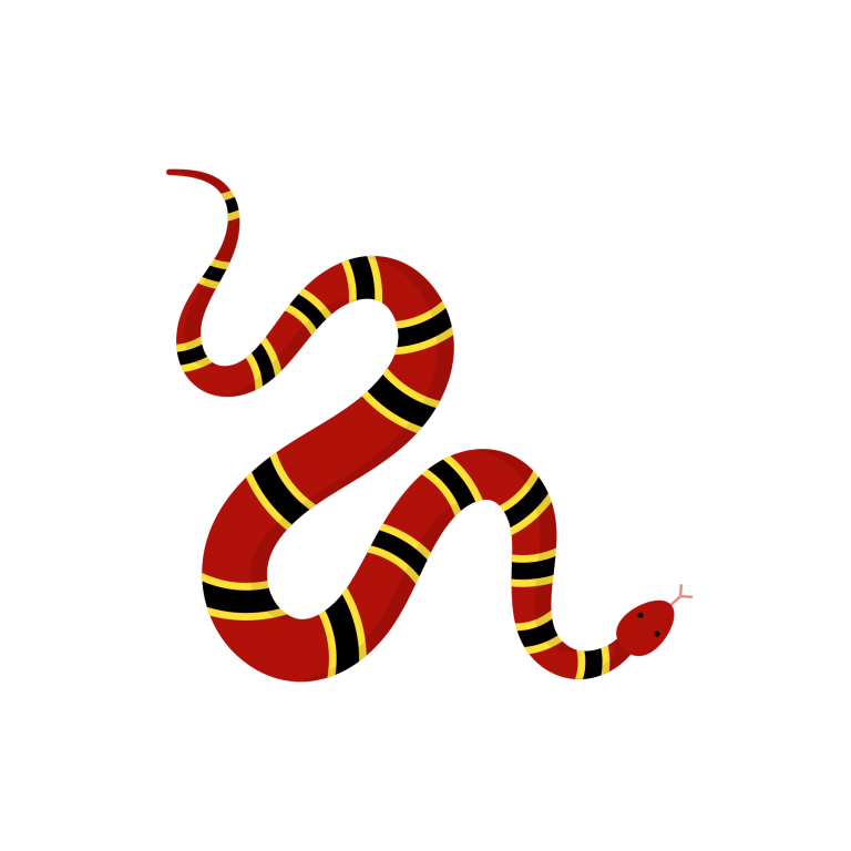 Flora y Fauna IMG-03 Coralillo