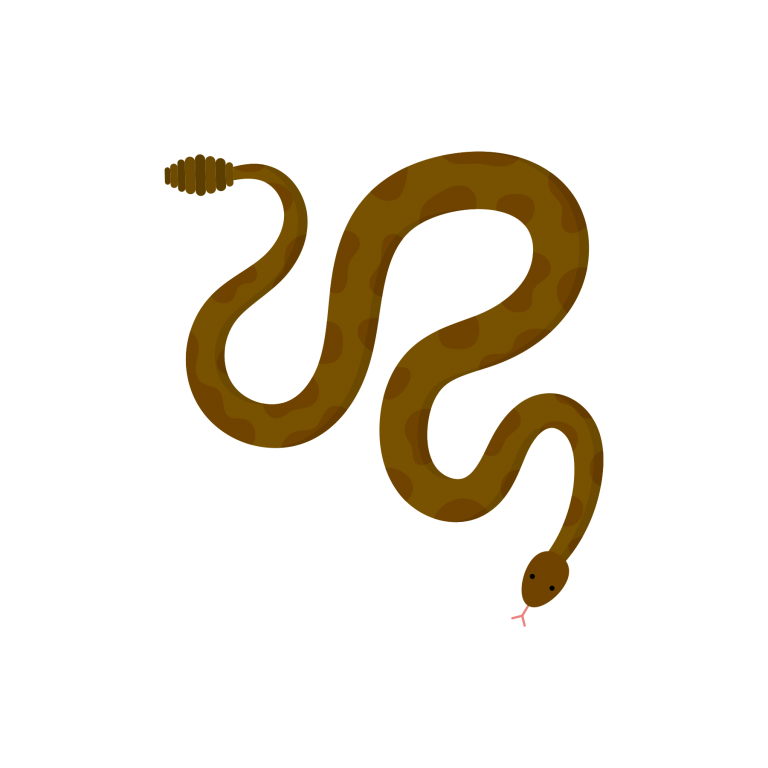 Flora y Fauna IMG-04 Cascabel