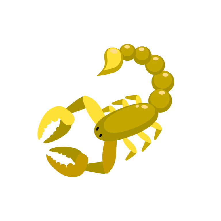 Flora y Fauna IMG-05 Alacrán