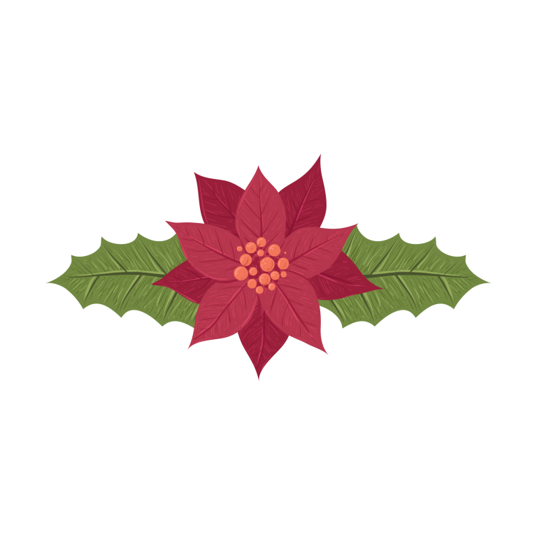 Flora y Fauna IMG-11 Nochebuena